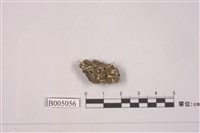 藏品(麩石蕊)的圖片